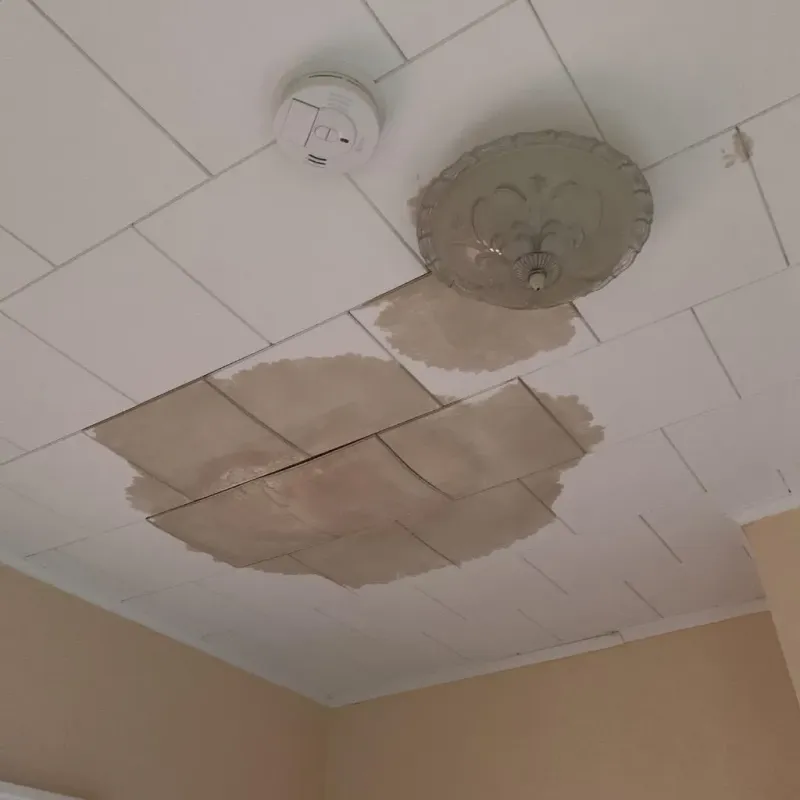 Ceiling Water Damage Repair in Essex Junction, VT