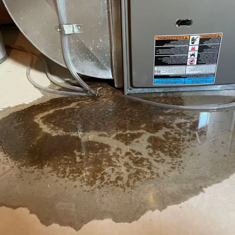 Pipe Burst and Leak Restoration in Essex Junction, VT